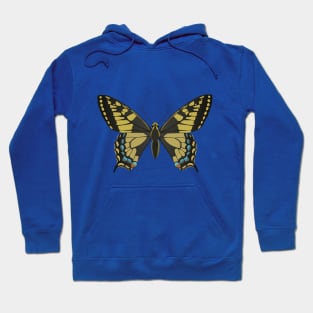 A common yellow swallowtail vector illustration Hoodie